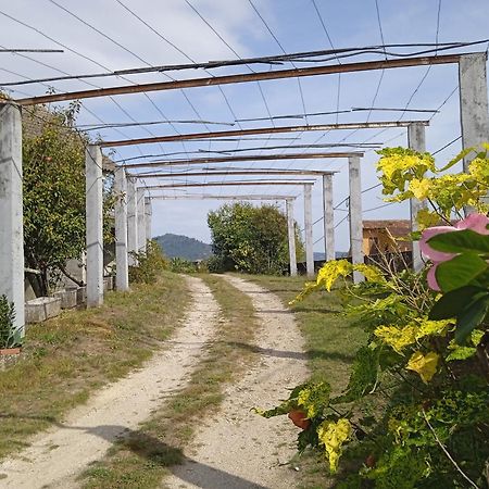 La Maison D'Abelleira Ponteareas Zewnętrze zdjęcie