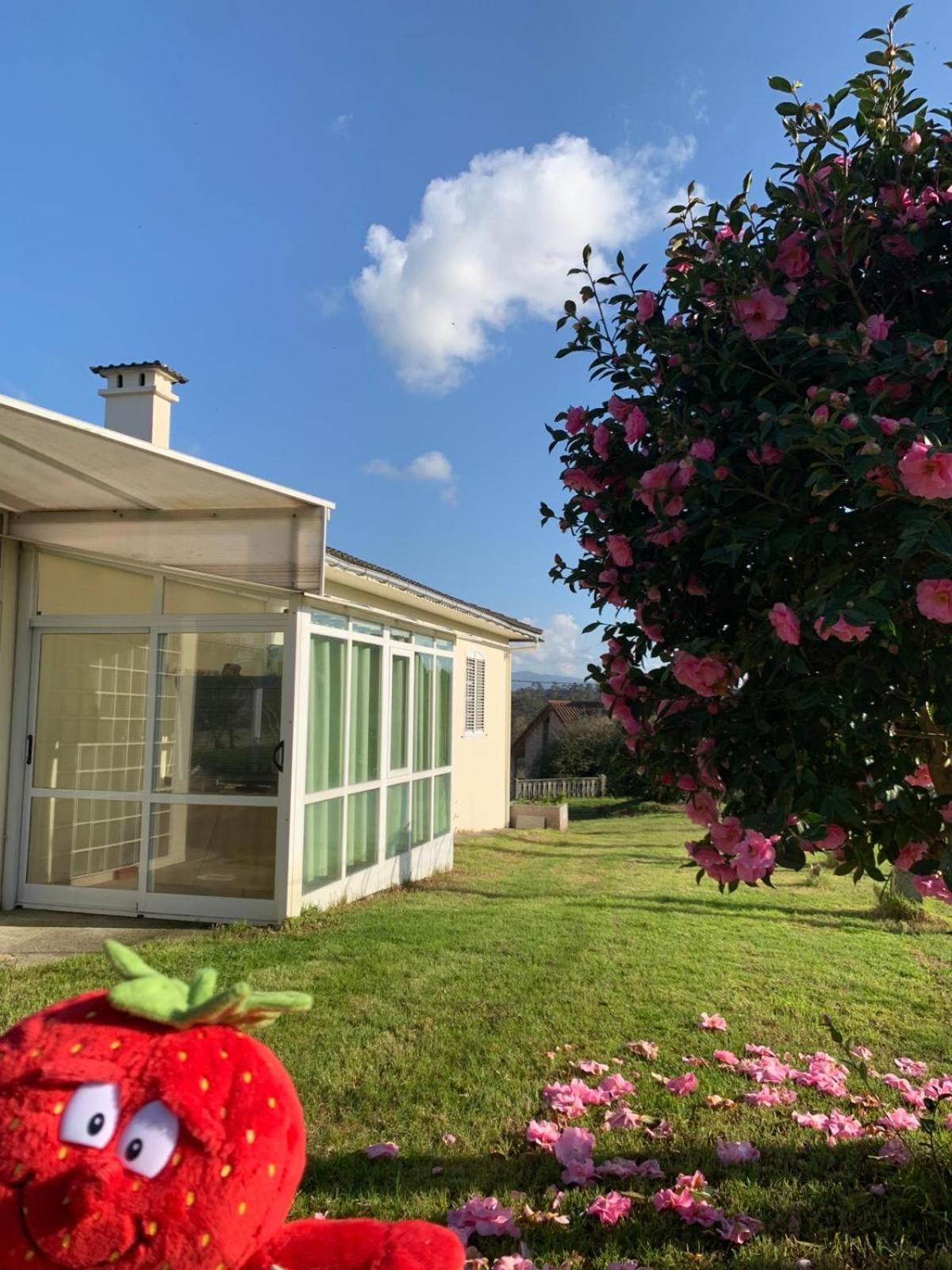 La Maison D'Abelleira Ponteareas Zewnętrze zdjęcie