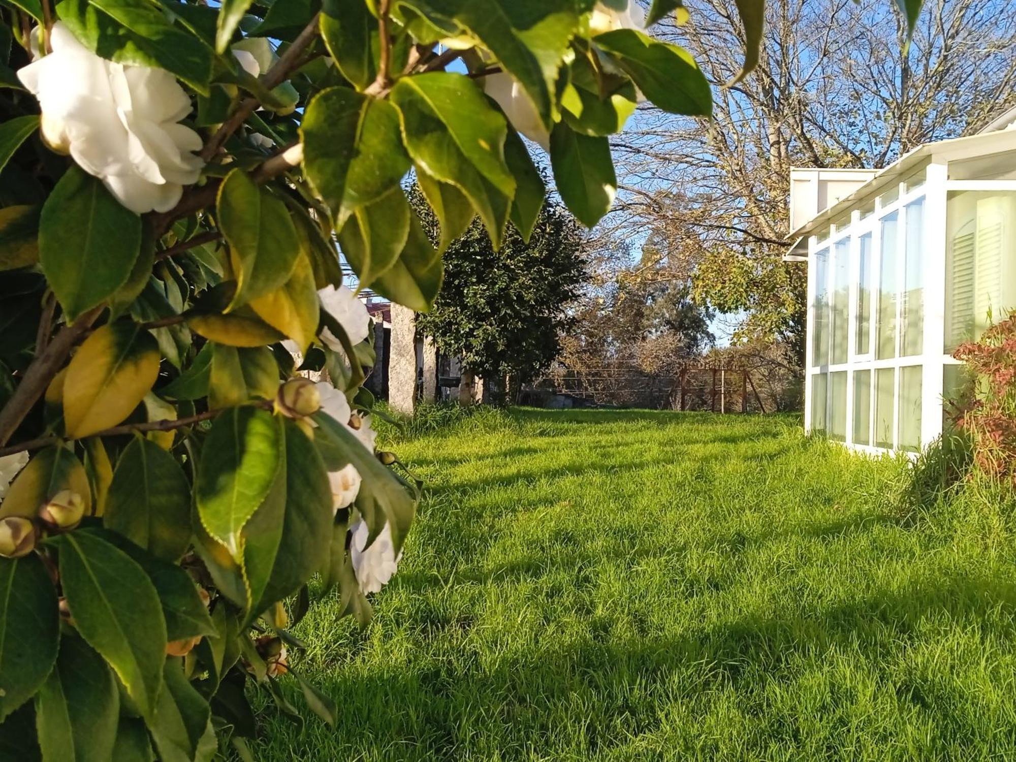 La Maison D'Abelleira Ponteareas Zewnętrze zdjęcie